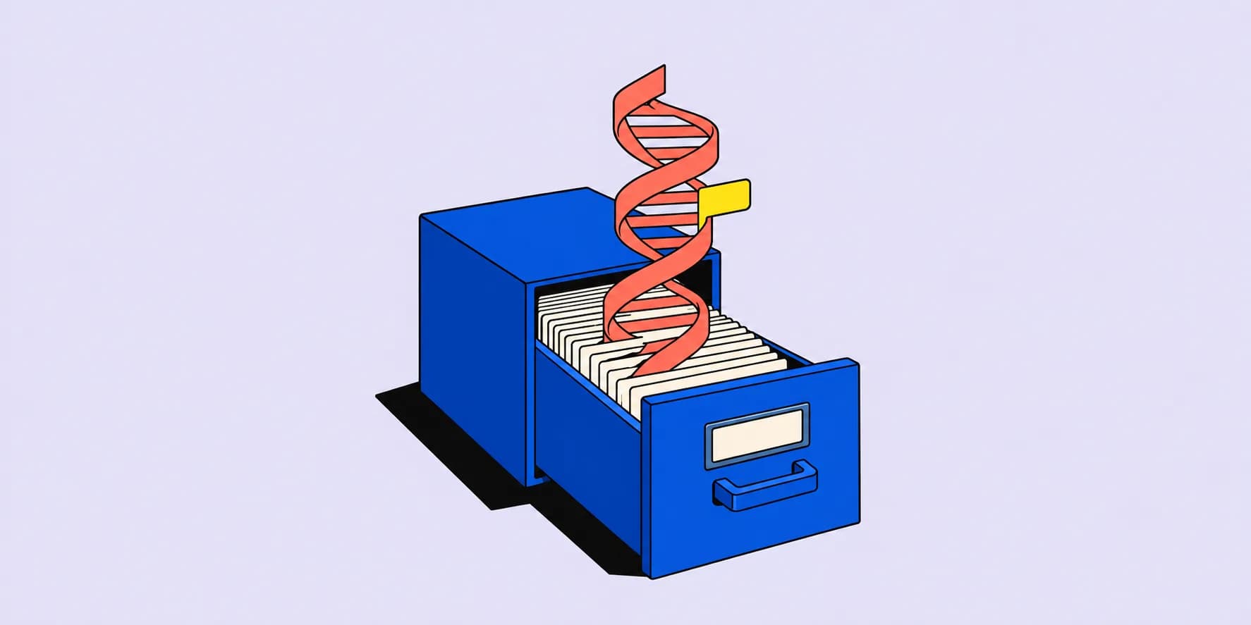 En blå kortlåda där ett korallfärgat DNA-band vecklas fram bland registerkorten.